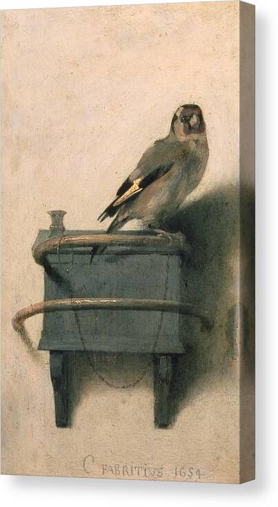 Bird Canvas Print featuring the painting The Goldfinch by Carel Fabritius