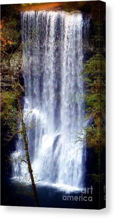 South Waterfall Canvas Print featuring the photograph Waterfall South by Susan Garren