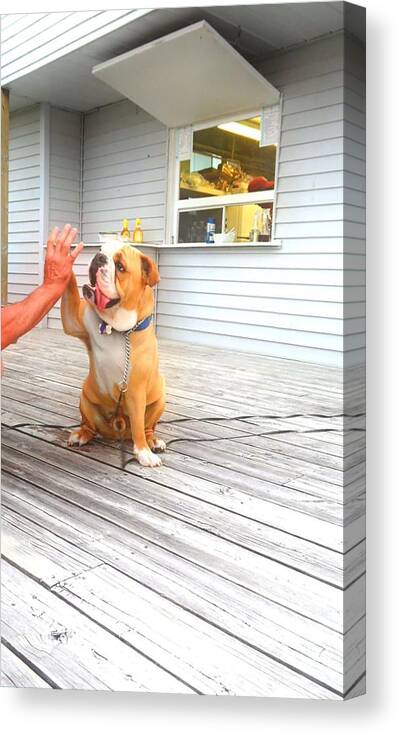 Lauderdale Resort Park & Marina Canvas Print featuring the painting Paws Up by Cyryn Fyrcyd