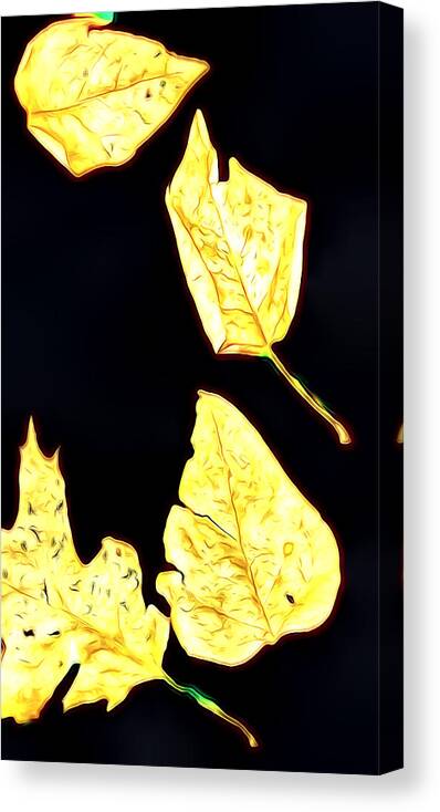 Leaves Canvas Print featuring the digital art Leaves in Light #1 by Cathy Anderson