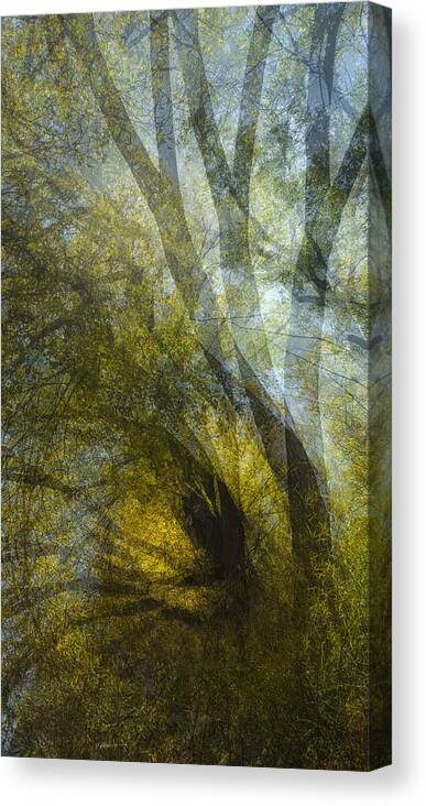 Landscape Canvas Print featuring the photograph All Fall Down by Deborah Hughes
