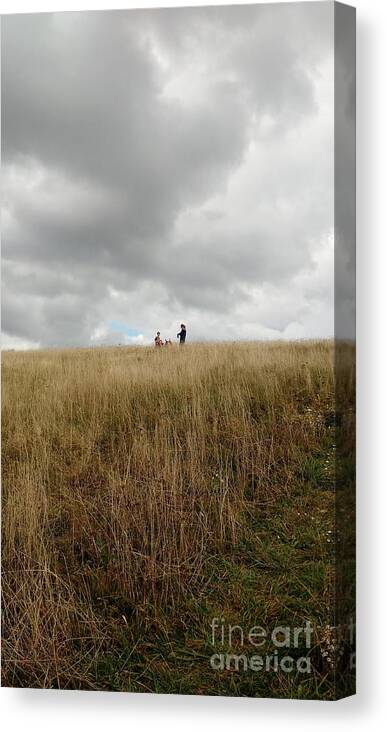 Autumn Canvas Print featuring the photograph Autumn Play at Max Patch by Anita Adams