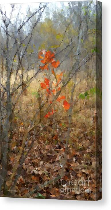 Fall Canvas Print featuring the photograph Beauty in Nature SG by Robert ONeil