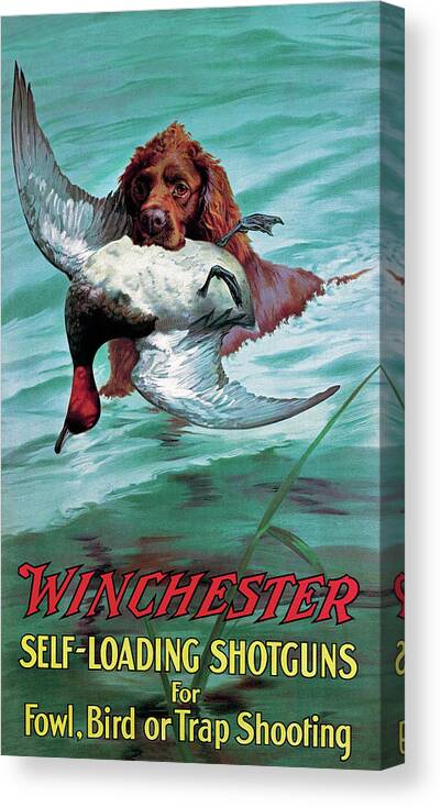 Outdoor Canvas Print featuring the painting Chesapeake Retriever With Duck by Unknown