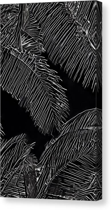 #flowersofaloha #blackandwhite #coconutpalms Canvas Print featuring the photograph Coconut Palms in Black and White by Joalene Young