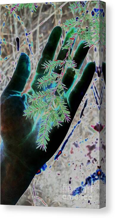 Nature Canvas Print featuring the photograph Holding Hands by Dani McEvoy