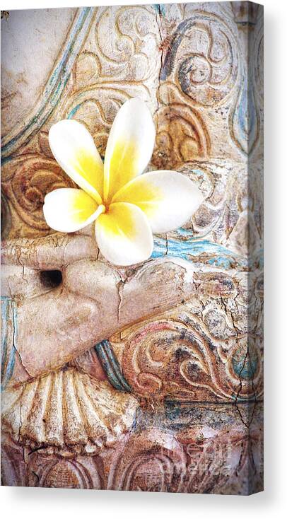 Buddha Canvas Print featuring the photograph Homage by Tim Gainey