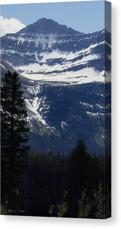 Mountain Canvas Print featuring the photograph Lingering Snow on the Mountain by Tracey Vivar
