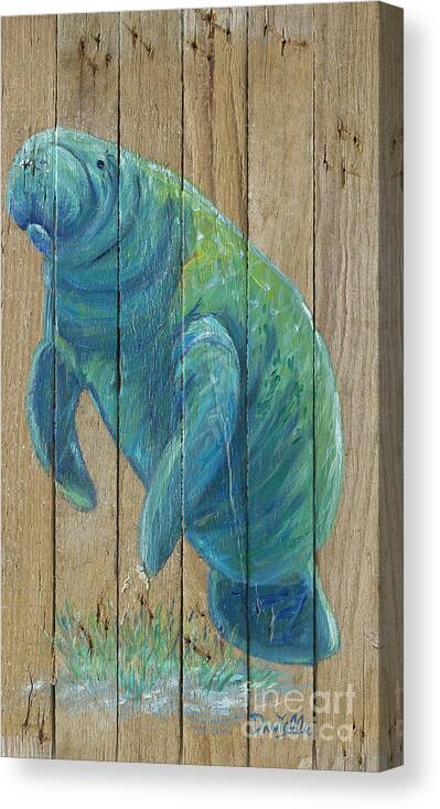 Manatee Canvas Print featuring the painting Manatee by Danielle Perry