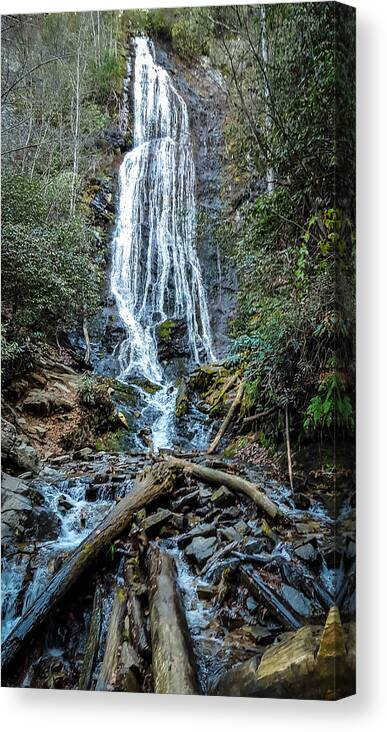 Nature Canvas Print featuring the photograph Mingo Falls by George Kenhan