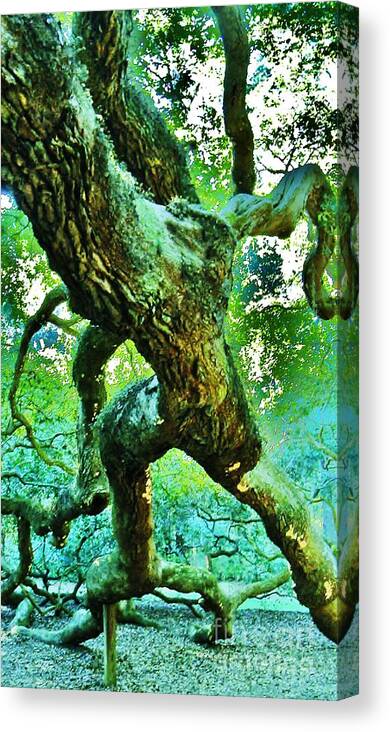 Trees Canvas Print featuring the photograph Petrified Man by Leslie Revels