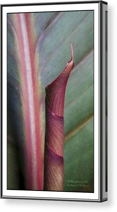 Plant Canvas Print featuring the photograph Roll our the Red Carpet by Karen Musick