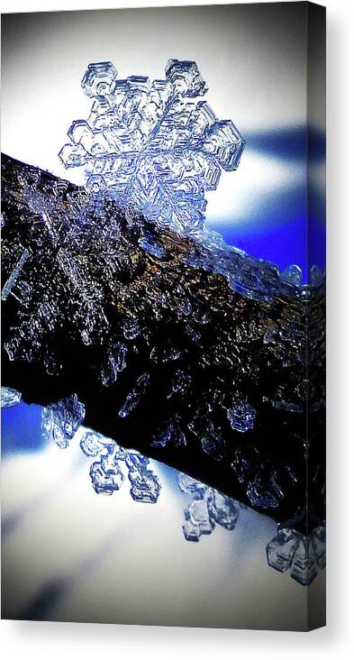 Snow Canvas Print featuring the photograph Snowflake by Judy Fry Snow Canvas Print featuring the photograph Snowflake by Judy Fry