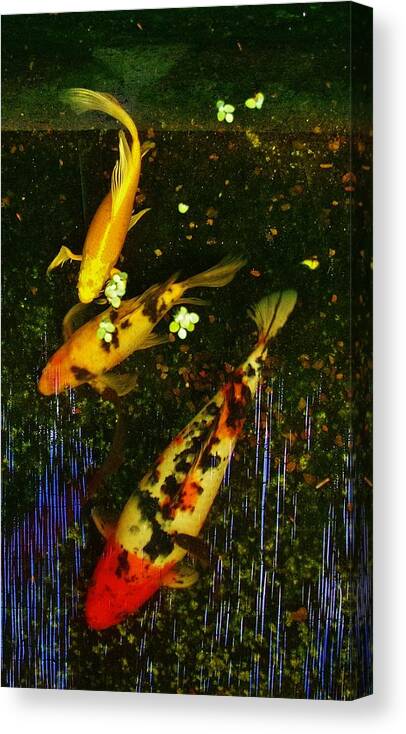 Spoor Canvas Print featuring the photograph Spoor Fish Water Flowers 2 by Phyllis Spoor