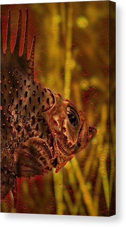 Fish Canvas Print featuring the photograph Copper Rockfish by Thom Zehrfeld