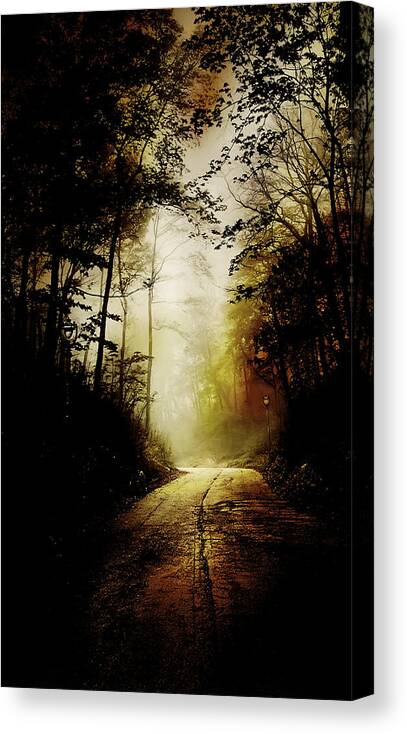 Abandoned Canvas Print featuring the photograph The Road to Hell Take 2 by Scott Norris