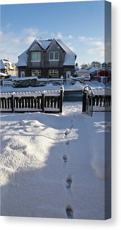 Snow Canvas Print featuring the photograph Traces on snow. by Elena Perelman