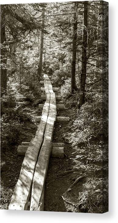 Path Canvas Print featuring the photograph Walk With Me by Holly Ross