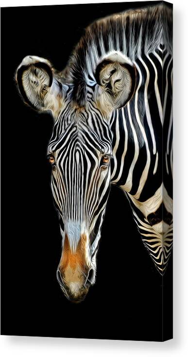 Zebra Canvas Print featuring the photograph Zebra by Dave Mills