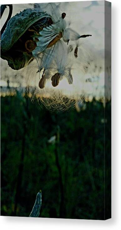 Uther Canvas Print featuring the photograph Easter Wishes by Uther Pendraggin