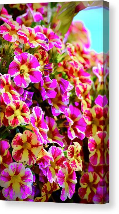 Green Canvas Print featuring the photograph Juicy Colored Flowers Too by Debra Grace Addison