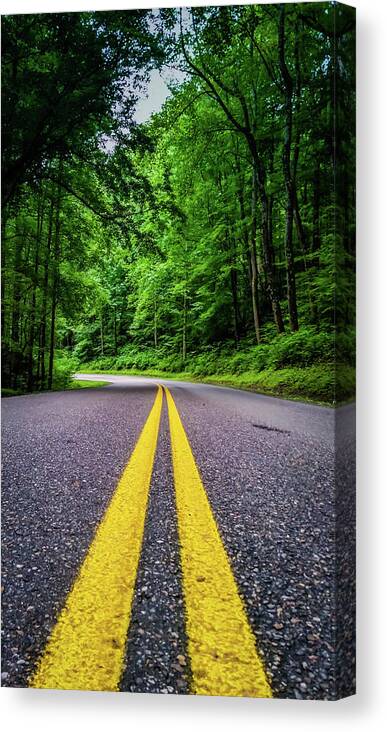 Nature Canvas Print featuring the photograph Mountain Highway by Joe Leone