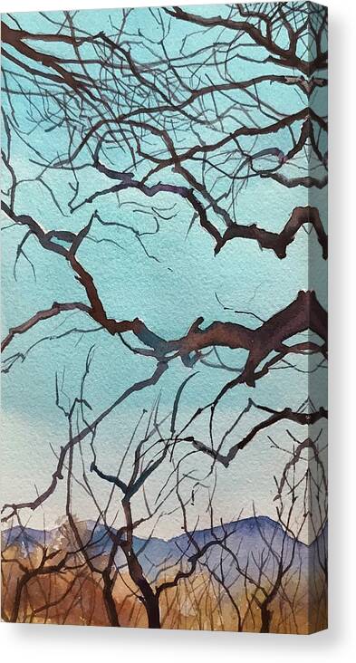 Santa Monica Canvas Print featuring the painting Oak Branches by Luisa Millicent