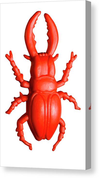 Animal Canvas Print featuring the drawing Orange Plastic Bug by CSA Images