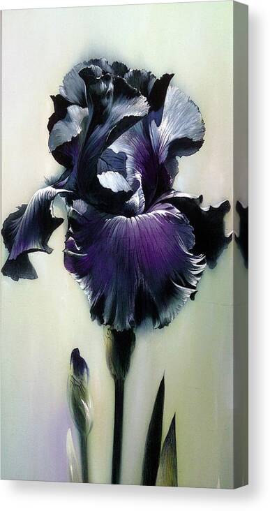 Russian Artists New Wave Canvas Print featuring the painting The Night. Black Iris Fragment by Alina Oseeva