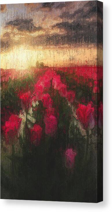 Skagit Valley Canvas Print featuring the painting Tulip Fields - 06 by AM FineArtPrints
