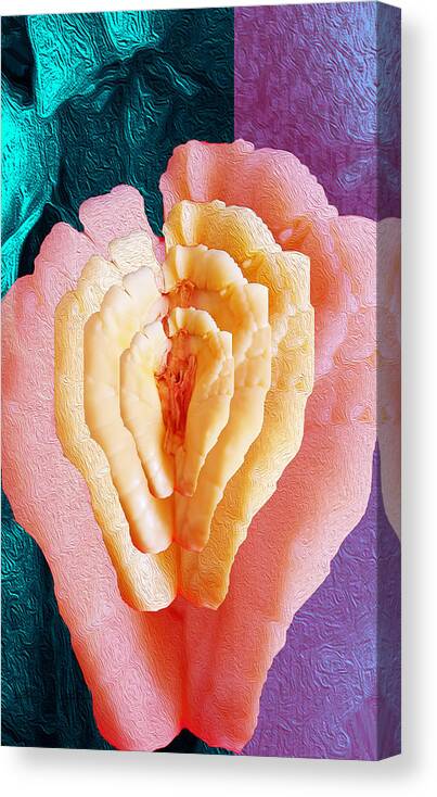 Ackee In Bloom Canvas Print featuring the digital art Ackee in Bloom 3 by Aldane Wynter