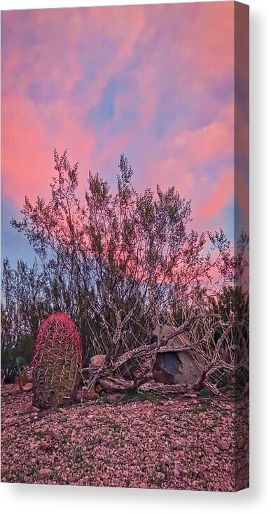 Pink Skies Canvas Print featuring the photograph Desert Tranquility by Judy Kennedy