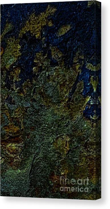 Mother Nature Flagstone Canvas Print featuring the digital art Flagstone Jewel by Glenn Hernandez