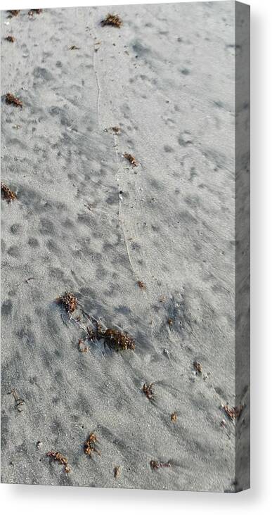 Tranquility Canvas Print featuring the photograph Full frame view of beach sand by Renata Rendon / FOAP