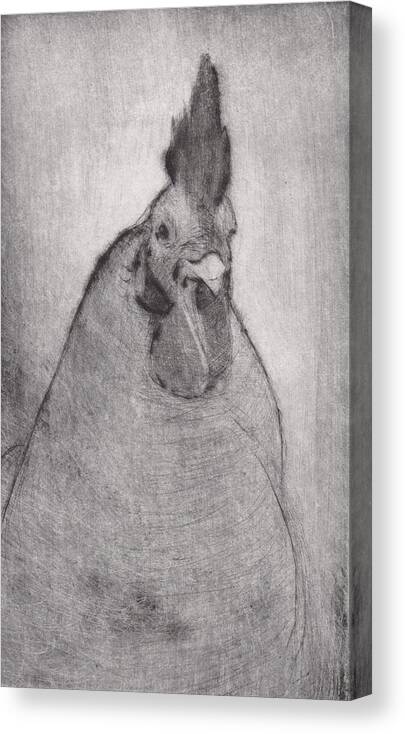 Rooster Canvas Print featuring the drawing Lord Ribblesday - etching by David Ladmore