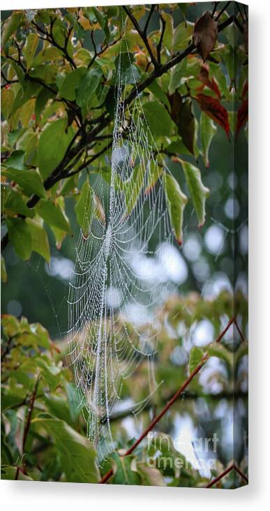 Halloween Canvas Print featuring the photograph Nature's Decorations in Dogwood by D Lee