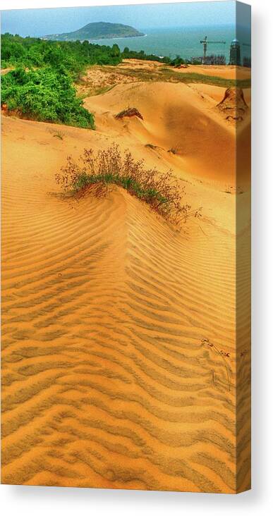 Desert Canvas Print featuring the photograph Sand dunes, Vietnam 6 by Robert Bociaga