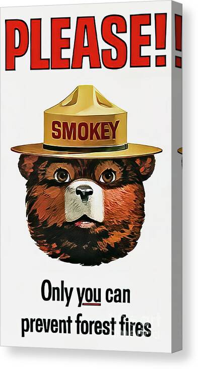 Smokey Canvas Print featuring the drawing Smokey the Bear Fire Prevention by M G Whittingham