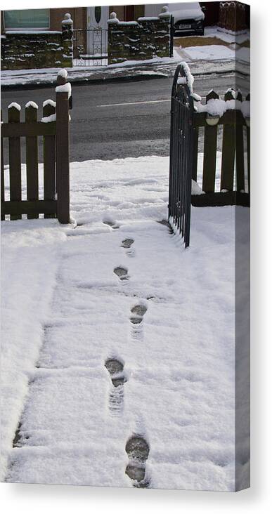 Traces On Snow Canvas Print featuring the photograph Traces in the Snow by Elena Perelman