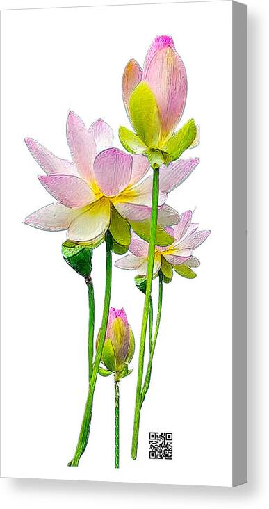 Flowers Canvas Print featuring the mixed media Tulipan by Rafael Salazar
