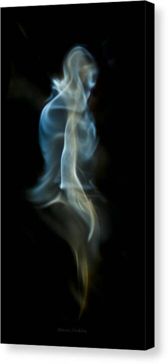 Ignition Canvas Print featuring the photograph Bipedal by Steven Poulton