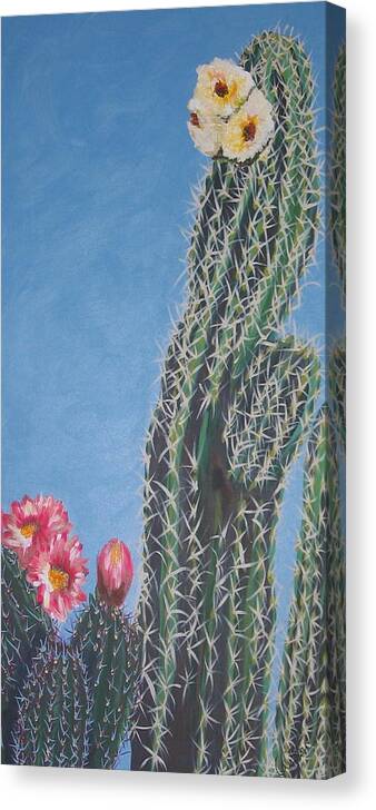 Cacti Canvas Print featuring the painting Bloomin Cactus by Marcia Weller-Wenbert