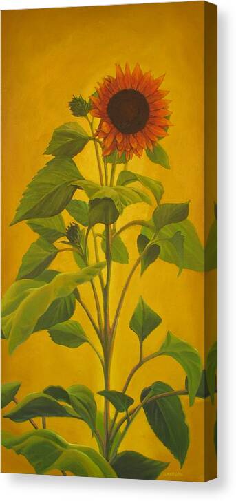 Sunflower Canvas Print featuring the painting Extra Tall Sunflower by Don Morgan