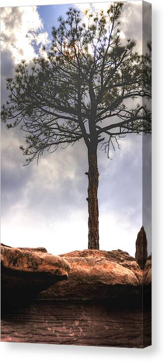 Lone Canvas Print featuring the photograph Lone Tree 11351 by Jerry Sodorff