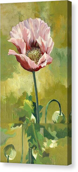 Acrylic Poppy Canvas Print featuring the painting Pink Poppy by Alfred Ng
