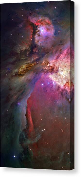 Messier 42 Canvas Print featuring the photograph Secrets Of Orion II by Ricky Barnard