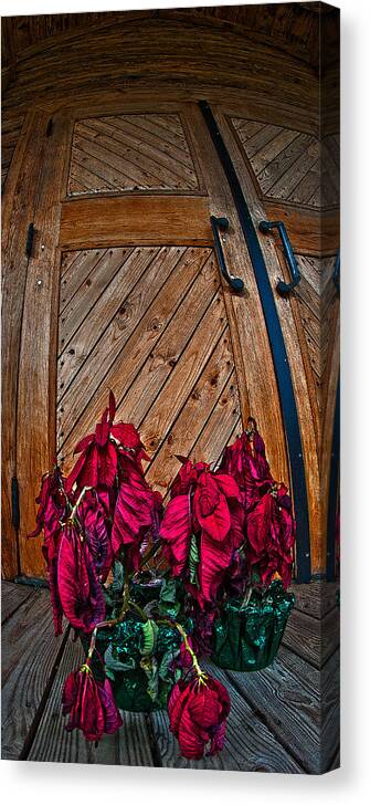 Wilted Canvas Print featuring the photograph Wilted by Murray Bloom