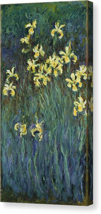 Claude Monet Canvas Print featuring the painting Yellow Irises #3 by Claude Monet
