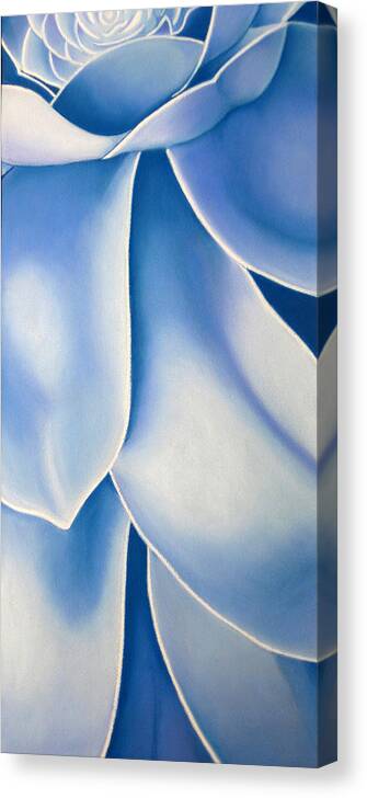 Flowers Canvas Print featuring the drawing Blue Flower by Joshua Morton