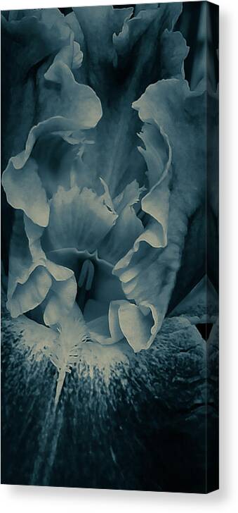 Iris Canvas Print featuring the photograph Blue Iris by Caryl J Bohn